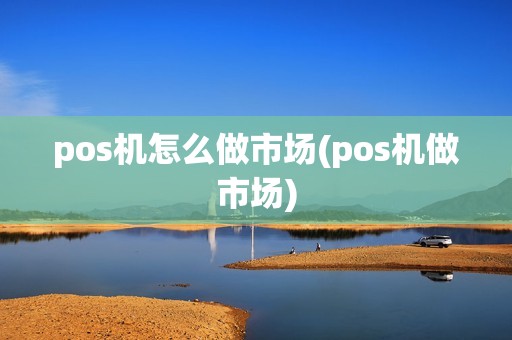pos机怎么做市场(pos机做市场)