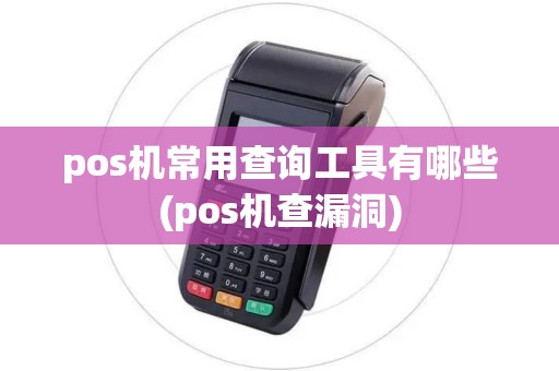 pos机常用查询工具有哪些(pos机查漏洞)