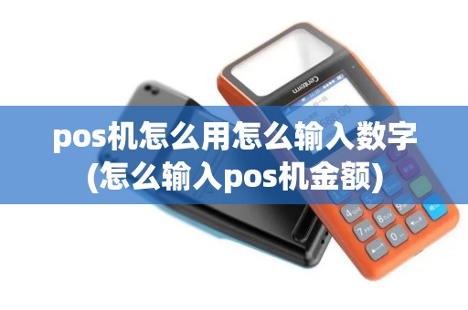 pos机怎么用怎么输入数字(怎么输入pos机金额)