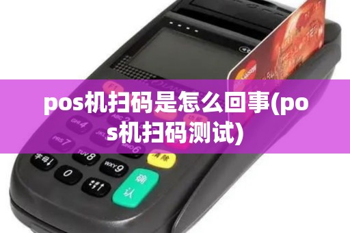 pos机扫码是怎么回事(pos机扫码测试)