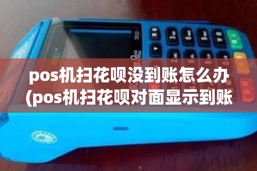pos机扫花呗没到账怎么办(pos机扫花呗对面显示到账pos机没到)