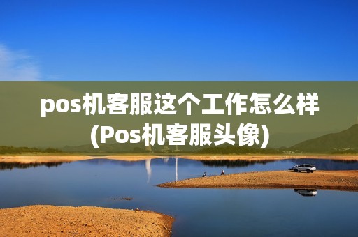 pos机客服这个工作怎么样(Pos机客服头像)