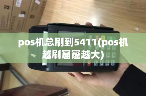 pos机总刷到5411(pos机越刷窟窿越大)