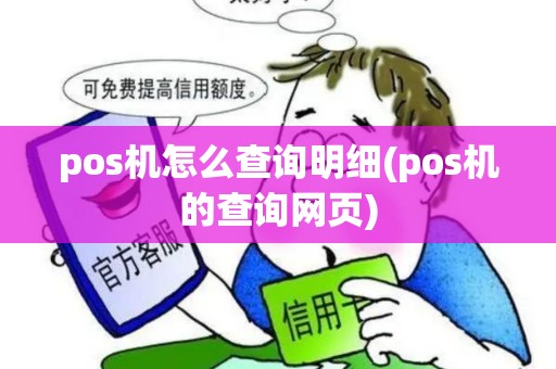pos机怎么查询明细(pos机的查询网页)