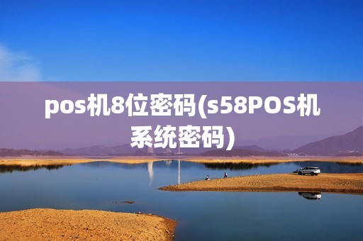 pos机8位密码(s58POS机系统密码)