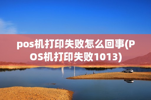 pos机打印失败怎么回事(POS机打印失败1013)