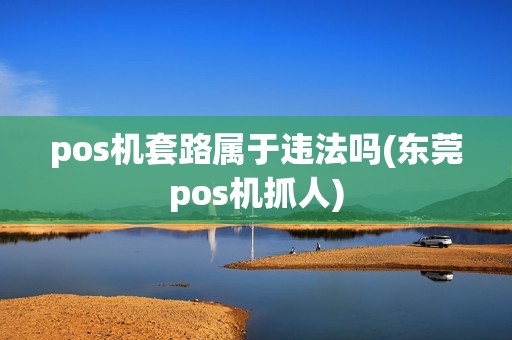 pos机套路属于违法吗(东莞pos机抓人)