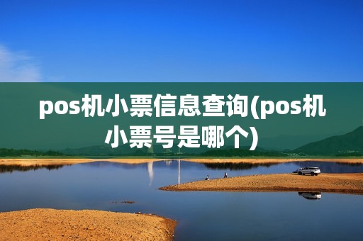 pos机小票信息查询(pos机小票号是哪个)