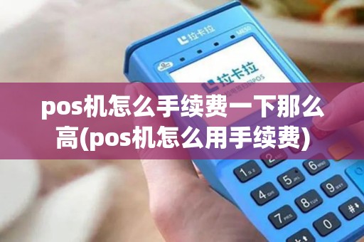 pos机怎么手续费一下那么高(pos机怎么用手续费)
