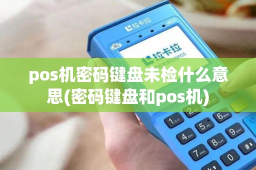 pos机密码键盘未检什么意思(密码键盘和pos机)
