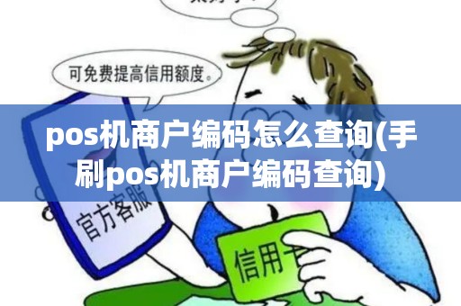 pos机商户编码怎么查询(手刷pos机商户编码查询)