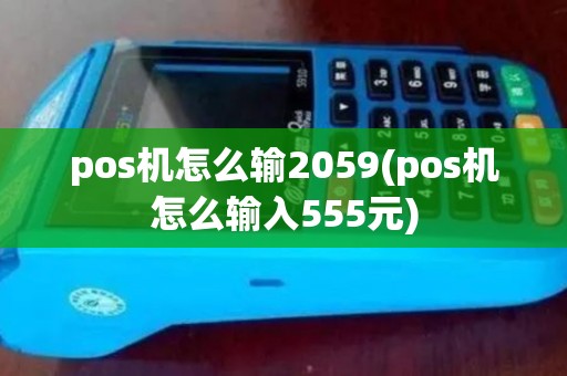 pos机怎么输2059(pos机怎么输入555元)