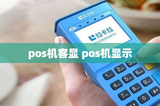 pos机客显 pos机显示