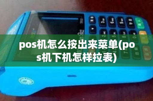 pos机怎么按出来菜单(pos机下机怎样拉表)