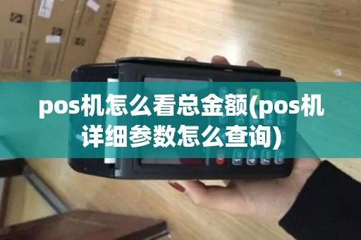 pos机怎么看总金额(pos机详细参数怎么查询)