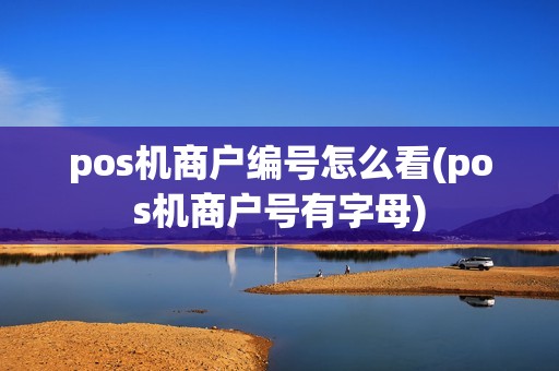 pos机商户编号怎么看(pos机商户号有字母)
