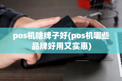 pos机啥牌子好(pos机哪些品牌好用又实惠)