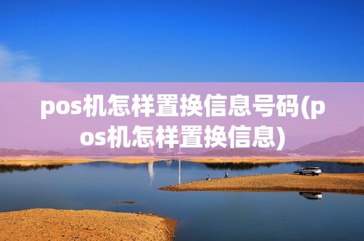 pos机怎样置换信息号码(pos机怎样置换信息)