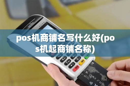 pos机商铺名写什么好(pos机起商铺名称)