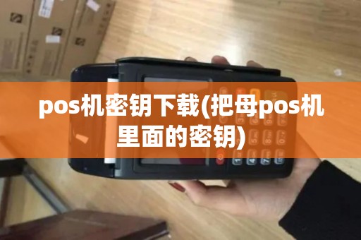 pos机密钥下载(把母pos机里面的密钥)