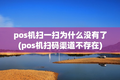 pos机扫一扫为什么没有了(pos机扫码渠道不存在)