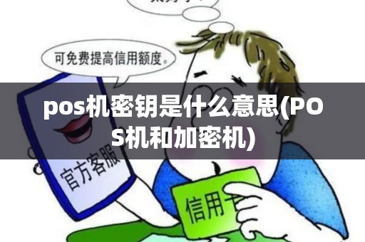 pos机密钥是什么意思(POS机和加密机)