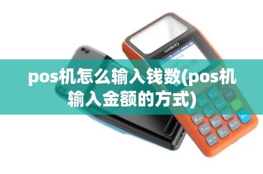 pos机怎么输入钱数(pos机输入金额的方式)