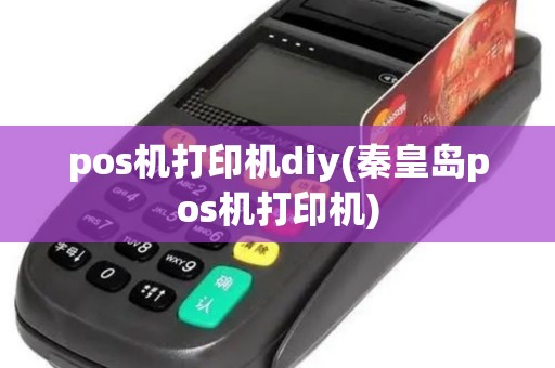 pos机打印机diy(秦皇岛pos机打印机)