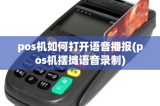 pos机如何打开语音播报(pos机摆摊语音录制)