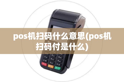 pos机扫码什么意思(pos机扫码付是什么)