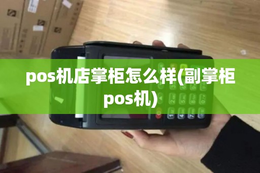 pos机店掌柜怎么样(副掌柜pos机)