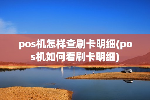 pos机怎样查刷卡明细(pos机如何看刷卡明细)