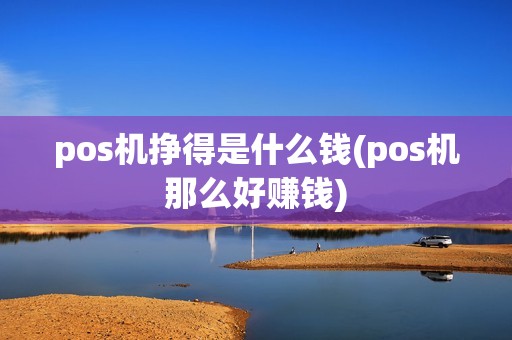 pos机挣得是什么钱(pos机那么好赚钱)