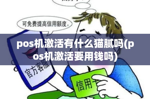 pos机激活有什么猫腻吗(pos机激活要用钱吗)