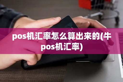 pos机汇率怎么算出来的(牛pos机汇率)