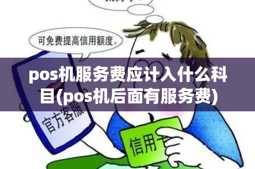 pos机服务费应计入什么科目(pos机后面有服务费)