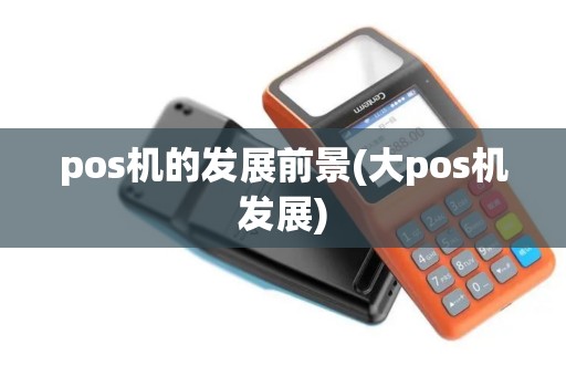 pos机的发展前景(大pos机发展)