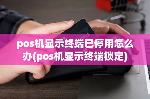 pos机显示终端已停用怎么办(pos机显示终端锁定)