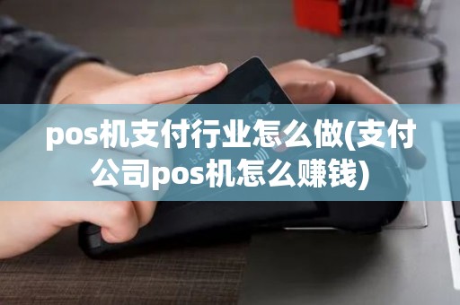 pos机支付行业怎么做(支付公司pos机怎么赚钱)