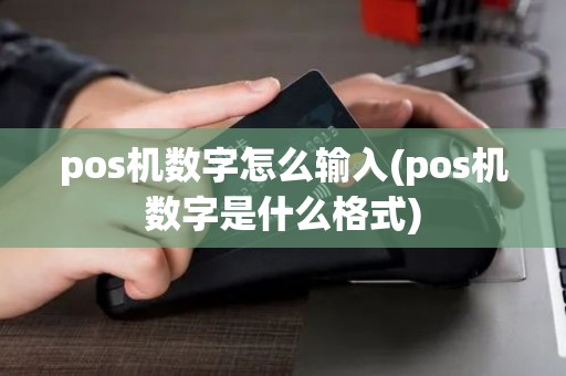pos机数字怎么输入(pos机数字是什么格式)