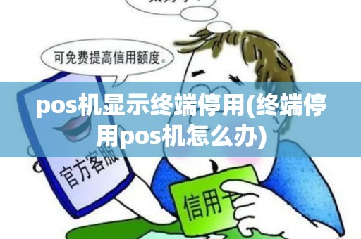 pos机显示终端停用(终端停用pos机怎么办)