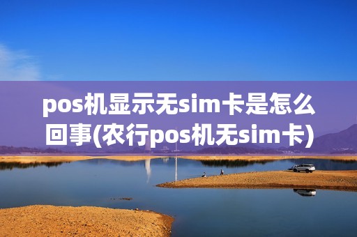 pos机显示无sim卡是怎么回事(农行pos机无sim卡)