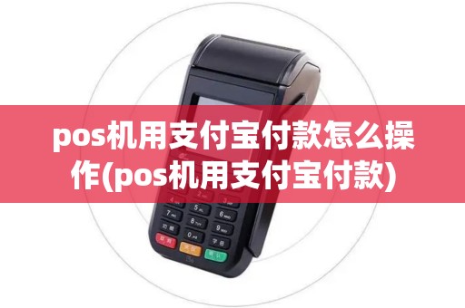 pos机用支付宝付款怎么操作(pos机用支付宝付款)