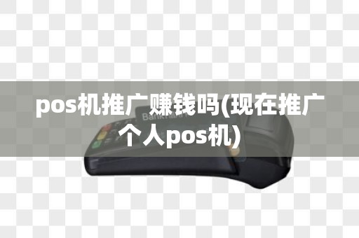 pos机推广赚钱吗(现在推广个人pos机)
