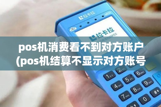 pos机消费看不到对方账户(pos机结算不显示对方账号)