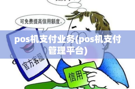 pos机支付业务(pos机支付管理平台)