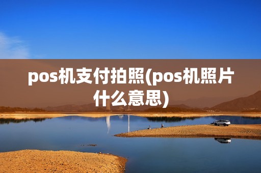 pos机支付拍照(pos机照片什么意思)