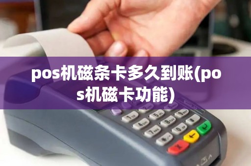 pos机磁条卡多久到账(pos机磁卡功能)