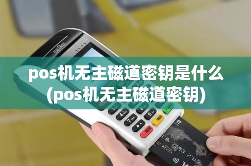 pos机无主磁道密钥是什么(pos机无主磁道密钥)
