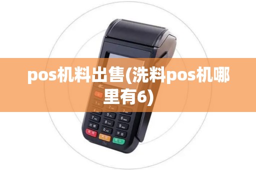 pos机料出售(洗料pos机哪里有6)